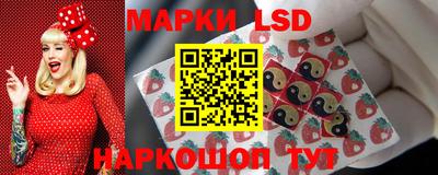 дмт Будённовск