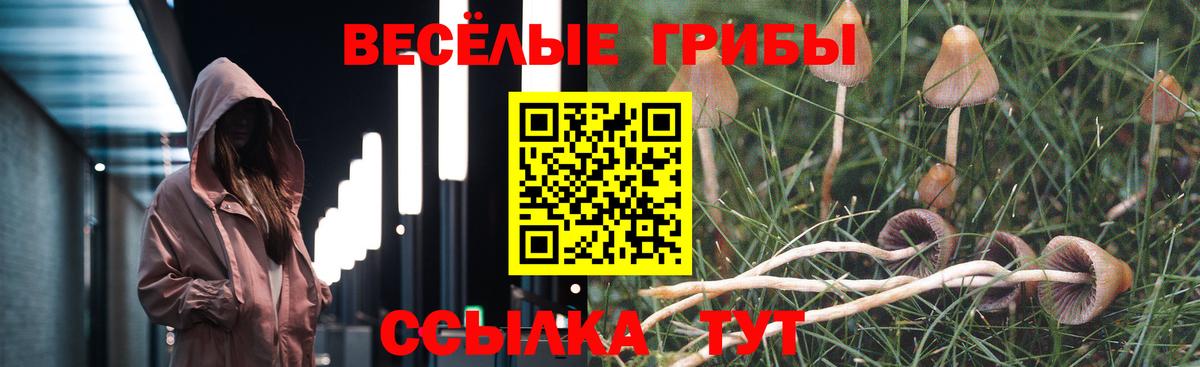 Галлюциногенные грибы мухоморы  даркнет сайт  Стерлитамак  Вход с VPN 